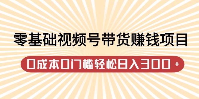 零基础视频号带货赚钱项目，0成本0门槛轻松日入300+【视频教程】-宇文网创