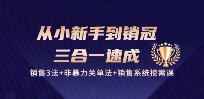从小新手到销冠 三合一速成：销售3法+非暴力关单法+销售系统挖需课 (27节)-宇文网创