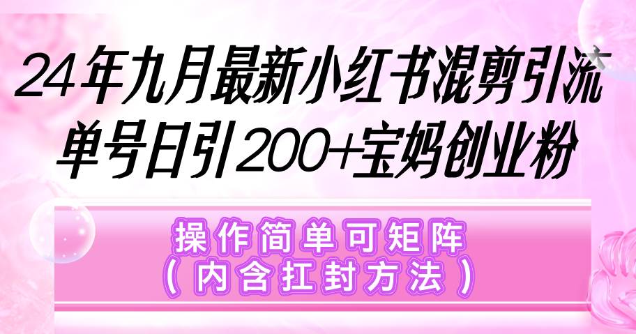 （12530期）小红书混剪引流，单号日引200+宝妈创业粉，操作简单可矩阵（内含扛封...-宇文网创