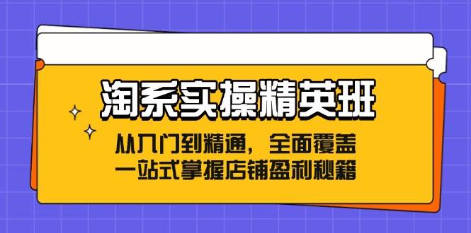 （12276期）淘系实操精英班：从入门到精通，全面覆盖，一站式掌握店铺盈利秘籍-宇文网创