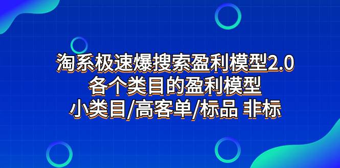（7737期）淘系极速爆搜索盈利模型2.0，各个类目的盈利模型，小类目/高客单/标品 非标-宇文网创