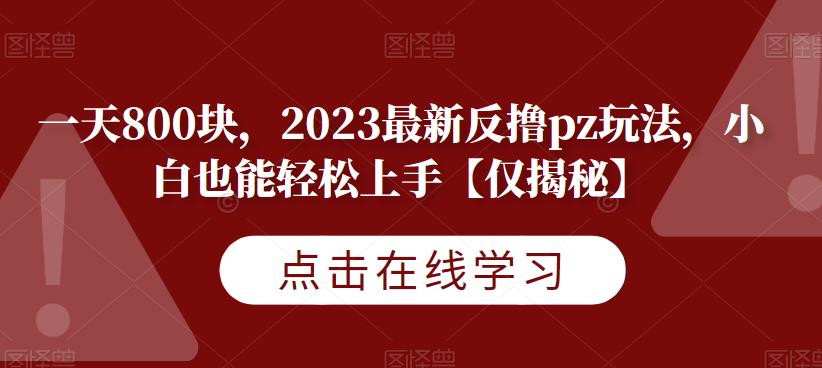 一天800块，2023最新反撸pz玩法，小白也能轻松上手【仅揭秘】-宇文网创