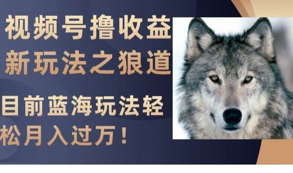 视频号撸收益新玩法之狼道，目前蓝海玩法，轻松月入过万【揭秘】-宇文网创