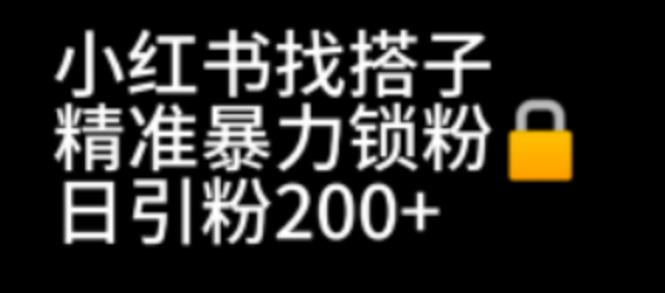小红书找搭子暴力精准锁粉+引流日引200+精准粉-宇文网创