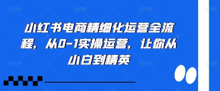 小红书电商精细化运营全流程，从0-1实操运营，让你从小白到精英-宇文网创