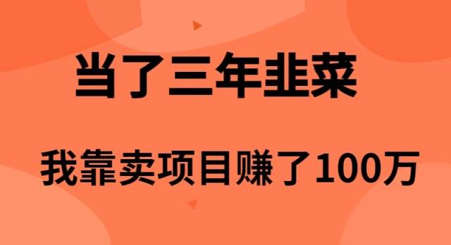 （10149期）当了3年韭菜，我靠卖项目赚了100万-宇文网创