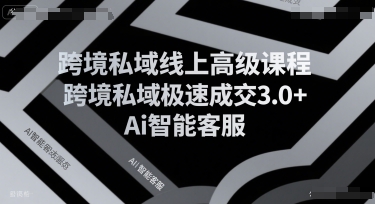 跨境私域线上高级课程，跨境私域极速成交3.0+Ai智能客服-宇文网创