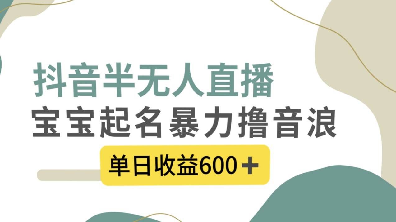 （8192期）抖音半无人直播，宝宝起名，暴力撸音浪，单日收益600+-宇文网创