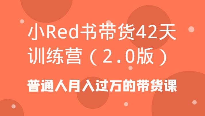 小Red书带货42天训练营（2.0版）普通人月入过万的带货课-宇文网创
