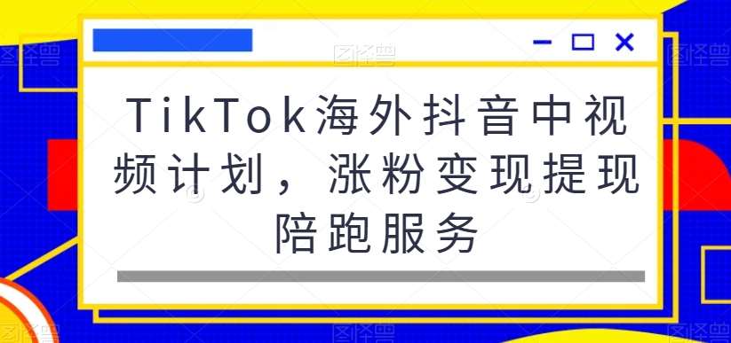 TikTok海外抖音中视频计划，涨粉变现提现陪跑服务-宇文网创