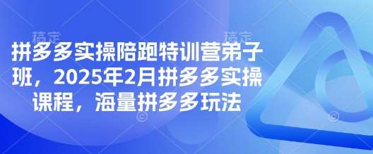 拼多多实操陪跑特训营弟子班,2025年2月拼多多实操课程,海量拼多多玩法-宇文网创