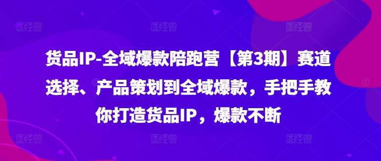 货品IP全域爆款陪跑营【第3期】赛道选择、产品策划到全域爆款，手把手教你打造货品IP，爆款不断-宇文网创