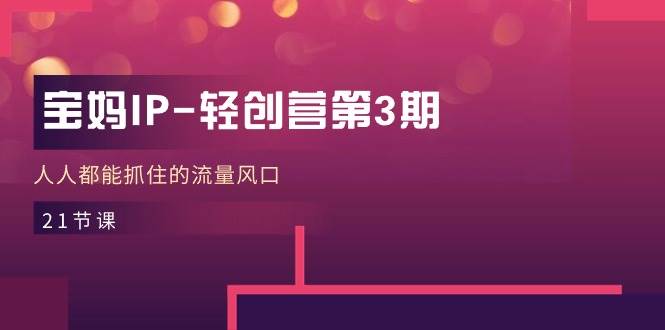 （11042期）宝妈IP-轻创营第3期，人人都能抓住的流量风口（21节课）-宇文网创