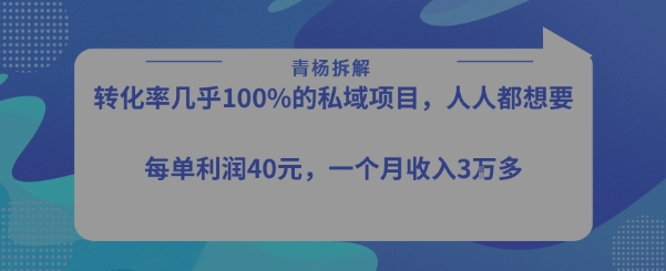 转化率最高的私域项目，每单利润40-50米，月入过1w-宇文网创