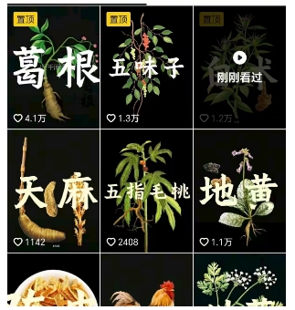图片[2]-抖音中草药赛道，用AI做中草药故事视频，45条作品涨粉13W，橱窗带货猛猛出单-宇文网创