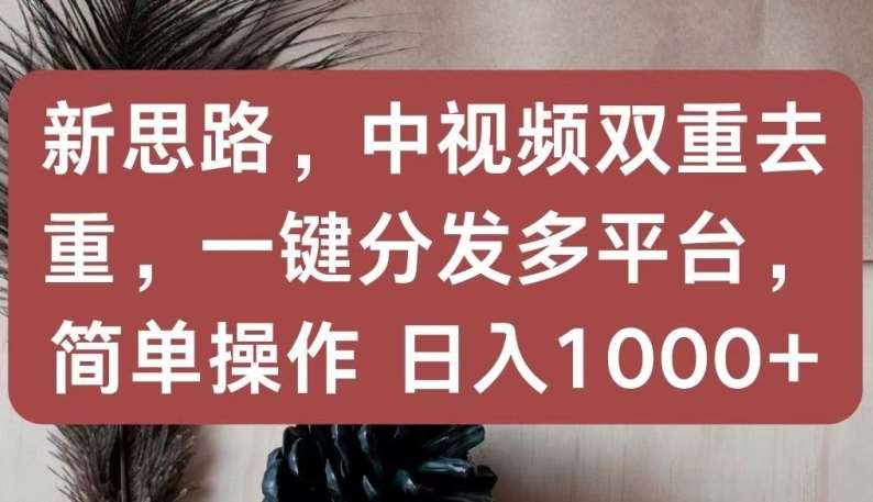 新思路，中视频双重去重，一键分发多平台，简单操作，日入1000+【揭秘】-宇文网创