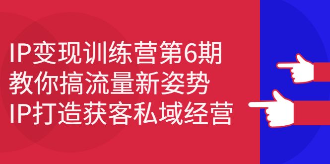 IP变现训练营第6期：教你搞流量新姿势，IP打造获客私域经营-宇文网创