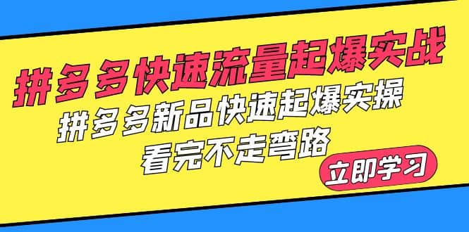 拼多多-快速流量起爆实战,拼多多新品快速起爆实操,看完不走弯路-宇文网创