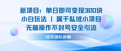 新项目单日即可变现3张的小白玩法无脑操作不封号安全引流-宇文网创