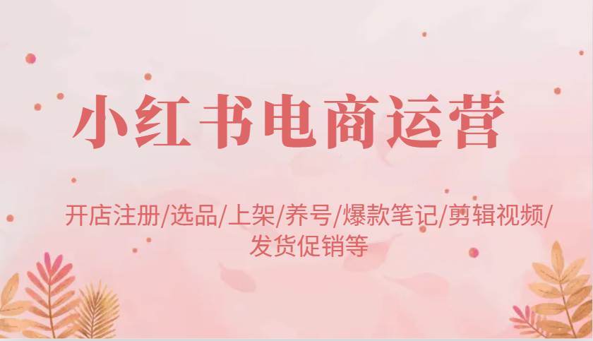 小红书电商运营：开店注册/选品/上架/养号/爆款笔记/剪辑视频/发货促销等-宇文网创