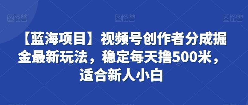 【蓝海项目】视频号创作者分成掘金最新玩法，稳定每天撸500米，适合新人小白【揭秘】-宇文网创