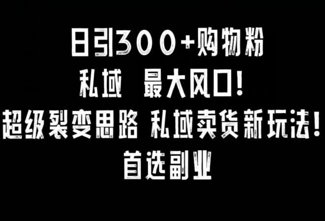 日引300+购物粉，超级裂变思路，私域卖货新玩法，小红书首选副业【揭秘】-宇文网创