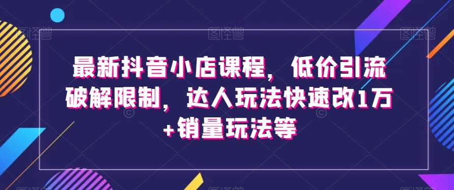 最新抖音小店课程，低价引流破解限制，达人玩法快速改1万+销量玩法等-宇文网创