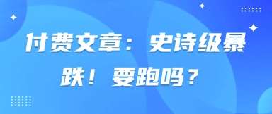 付费文章：史诗级暴跌！要跑吗？-宇文网创