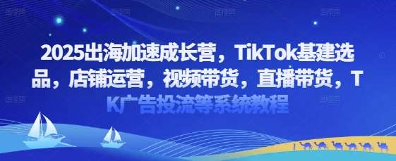 2025出海加速成长营，TikTok基建选品，店铺运营，视频带货，直播带货，TK广告投流等系统教程-宇文网创
