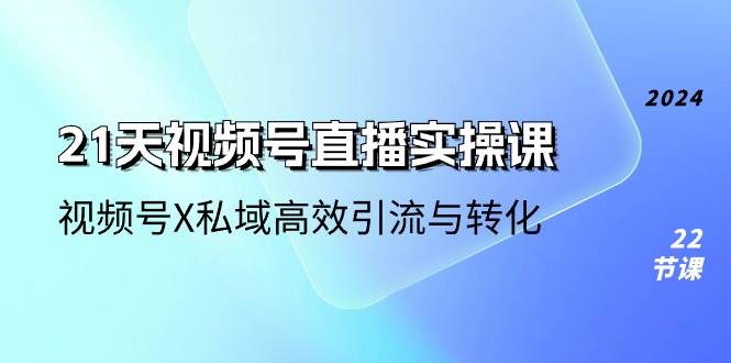 21天视频号直播实操课，视频号X私域高效引流与转化（22节课）-宇文网创