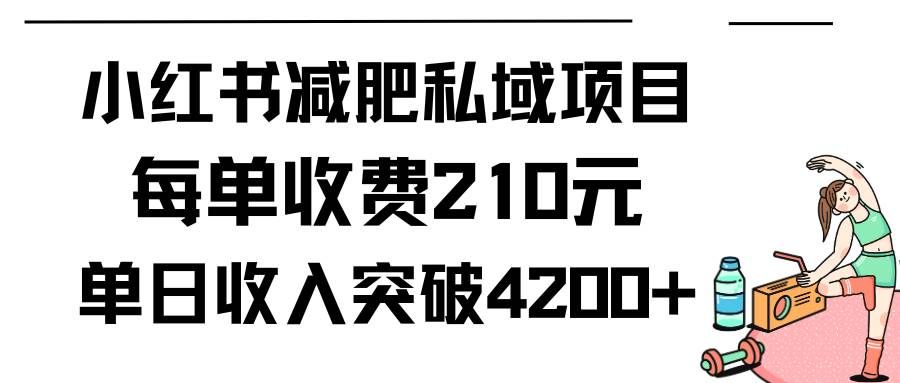 （9466期）小红书减肥私域项目每单收费210元单日成交20单，最高日入4200+-宇文网创