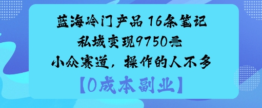 蓝海冷门产品：16条笔记私域变现9750米小众赛道，操作的人不多-宇文网创
