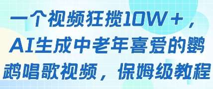 一个视频狂揽10W+点赞，AI生成中老年喜爱的鹦鹉唱歌视频，保姆级教程，轻松挣取创作者分成-宇文网创