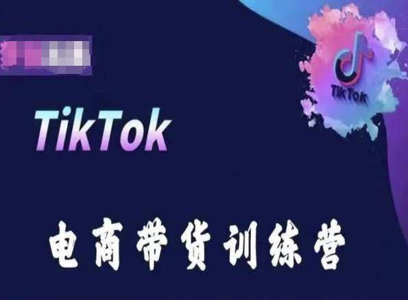TikTok电商带货训练营，跟随时代潮流，跨境掘金-宇文网创
