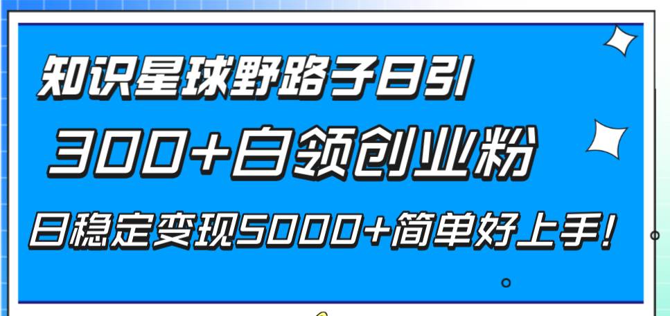 （8315期）知识星球野路子日引300+白领创业粉，日稳定变现5000+简单好上手！-宇文网创