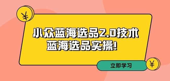 拼多多培训第33期：小众蓝海选品2.0技术-蓝海选品实操！-宇文网创