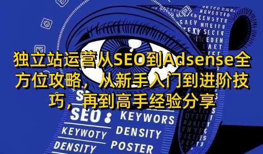 独立站运营从SEO到Adsense全方位攻略，从新手入门到进阶技巧，再到高手经验分享-宇文网创