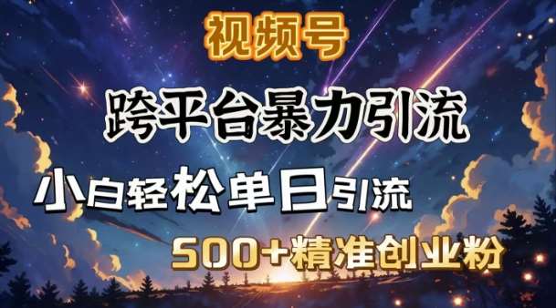 跨平台暴力引流，私域完美闭环，日引500+精准创业粉-宇文网创
