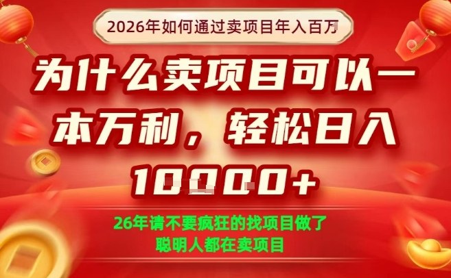 一单净利润1K+，26年想年入100个W，死磕卖项目就够了【揭秘】-宇文网创