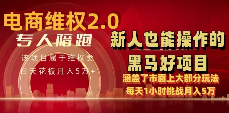 电商维权 4.0 如何做到月入 5 万+每天 1 小时新人也能快速上手【仅揭秘】-宇文网创