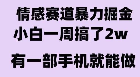 情感暴力掘金项目，新人操作一周挣了2W，长期稳定小白可做【揭秘】-宇文网创