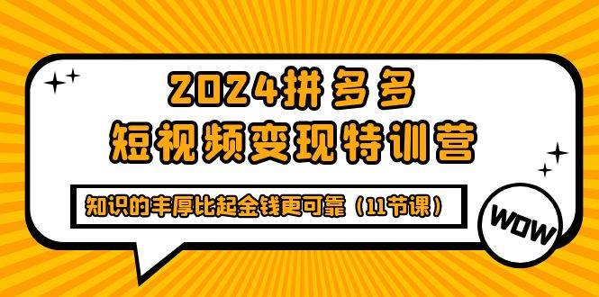 （9817期）2024拼多多短视频变现特训营，知识的丰厚比起金钱更可靠（11节课）-宇文网创