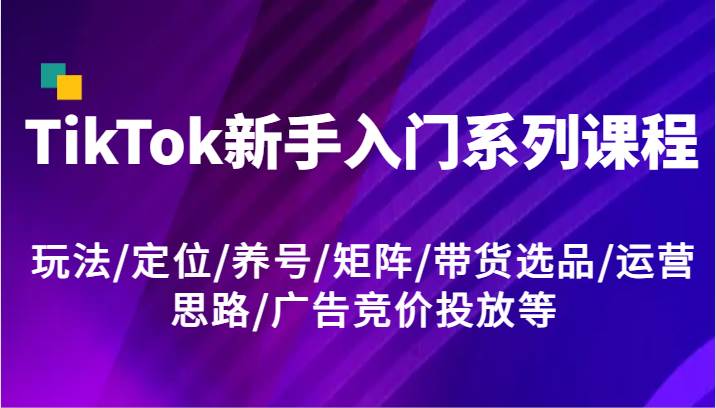TikTok新手入门系列课程，玩法/定位/养号/矩阵/带货选品/运营思路/广告竞价投放等-宇文网创