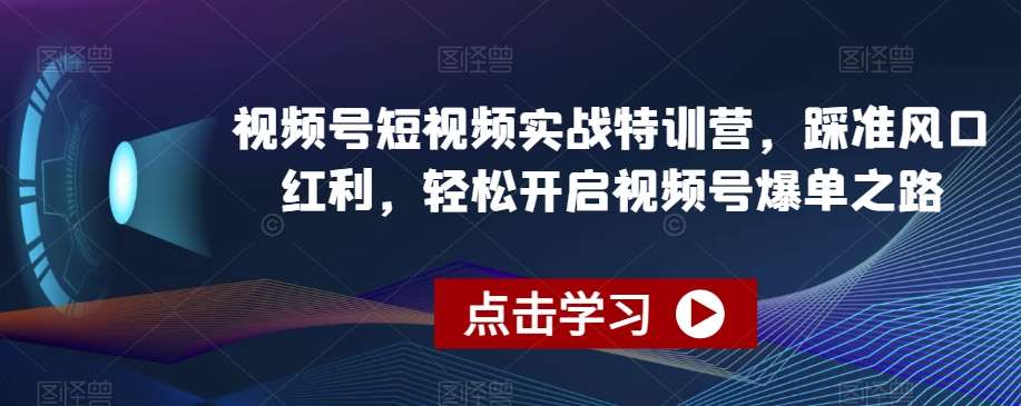 视频号短视频实战特训营，踩准风口红利，轻松开启视频号爆单之路-宇文网创