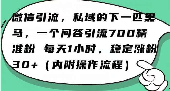 怎么搞精准创业粉？微信新赛道，每天一小时，利用Ai一个问答日引100精准粉-宇文网创