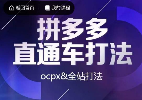 互力·拼多多直通车打法,ocpx&全站打法-宇文网创