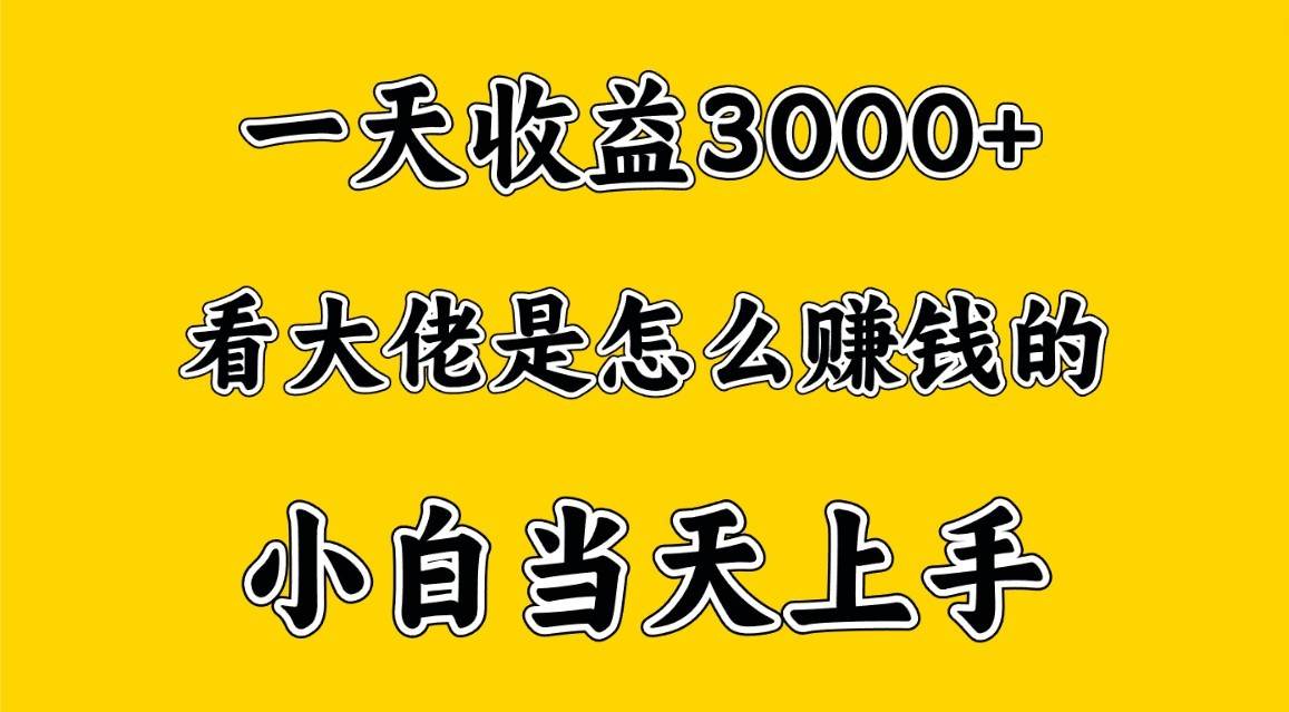 一天赚3000多，大佬是这样赚到钱的，小白当天上手，穷人翻身项目-宇文网创