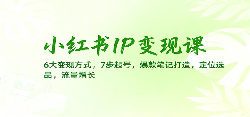 小红书IP变现课：6大变现方式，7步起号，爆款笔记打造，定位选品，流量增长-宇文网创
