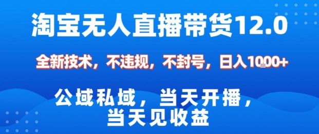 淘宝无人直播12.0，公域私域技术，不封号，不违规布局双十一流量风口，日入1k（独家技术）【揭秘】-宇文网创