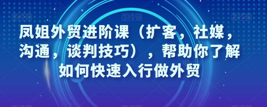 凤姐外贸进阶课（扩客，社媒，沟通，谈判技巧），帮助你了解如何快速入行做外贸-宇文网创